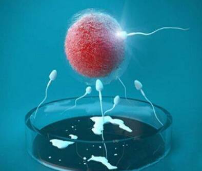 张明华 院长